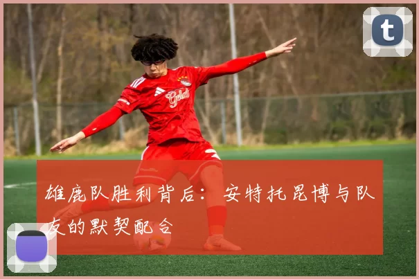 雄鹿队胜利背后：安特托昆博与队友的默契配合