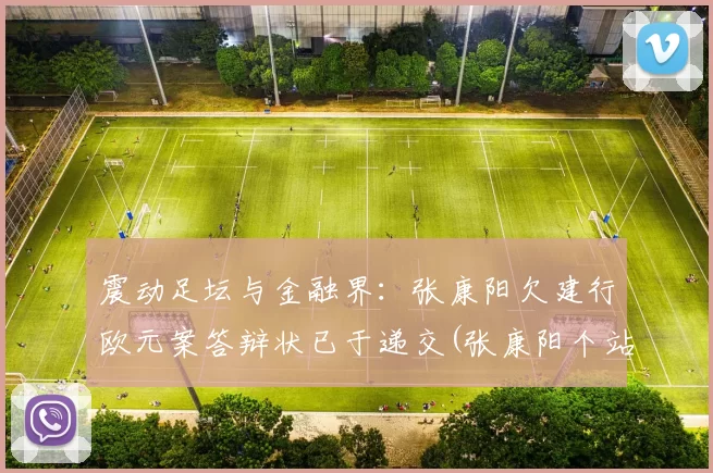 震动足坛与金融界：张康阳欠建行欧元案答辩状已于递交(张康阳个站)