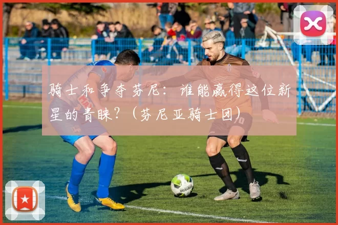 骑士和争夺芬尼：谁能赢得这位新星的青睐？(芬尼亚骑士团)