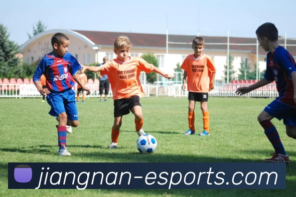 江南电竞官网平台生态图